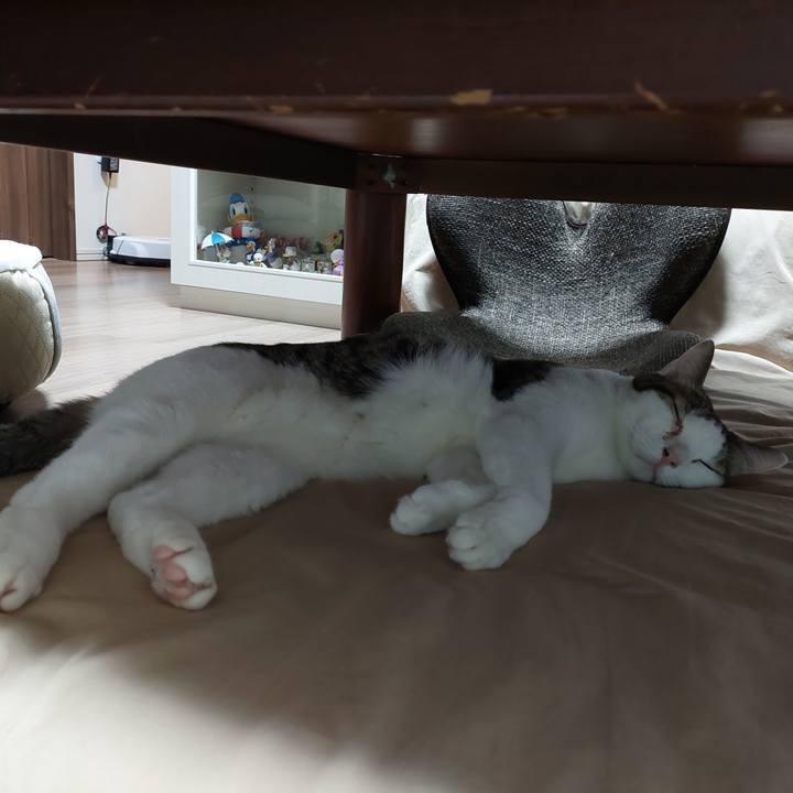 Ddd681d8 68a0 4c14 8f80 a099a6349a3b 1647894227900