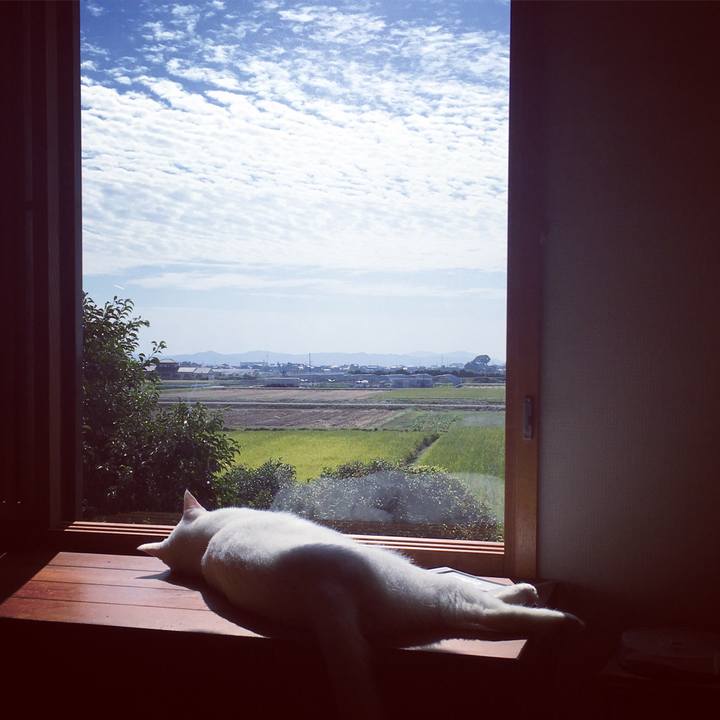 Ddd6b54e 595d 400b a8d2 cc42cdef6d79 1508810131923