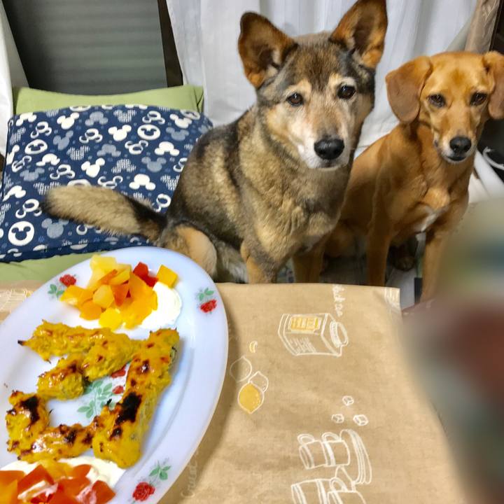 Ddd6c7c5 f9d5 44c9 a783 3fdacc5e8886 1526384815992