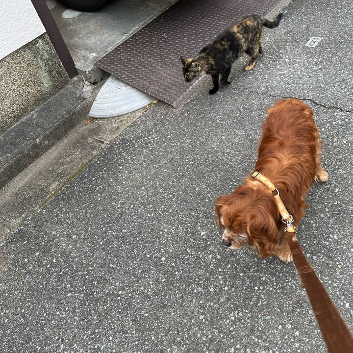 Ddd6d9ce 2ec2 457c 8220 852b5f875145 1773705830271