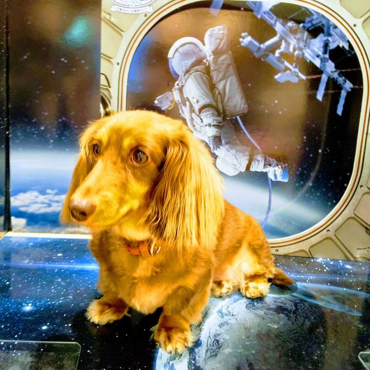 Ddd6dc13 e101 4bfc a74f f638b89d8382 1599895431807