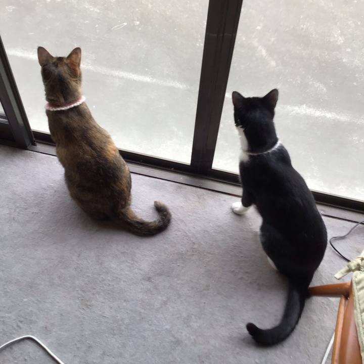 Ddd6e1cd c436 4272 8519 dc169866fefb 1655716934261