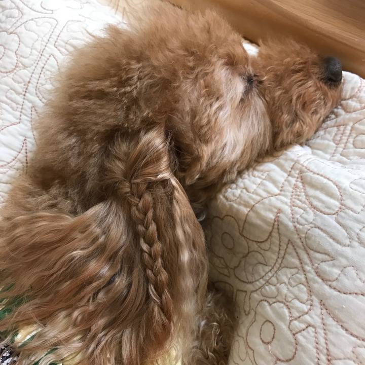 Ddd6e26c ff51 433a acb3 3ced04568fcb 1519388940955