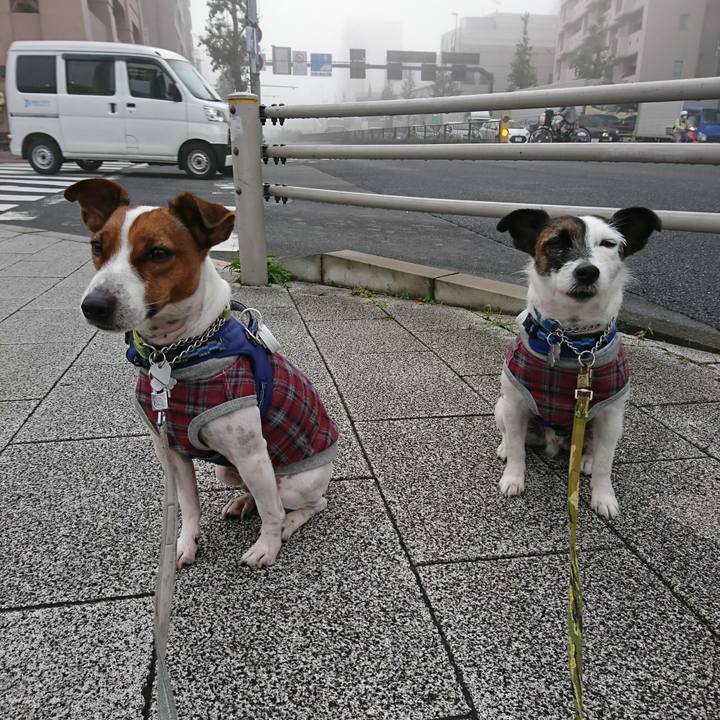 Ddd70488 d13a 4b78 8156 0f6d0ea60275 1572387960125