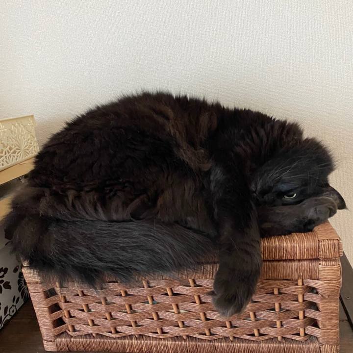 Ddd74e67 e423 4bb6 bd95 e26352d50c02 1591583622332