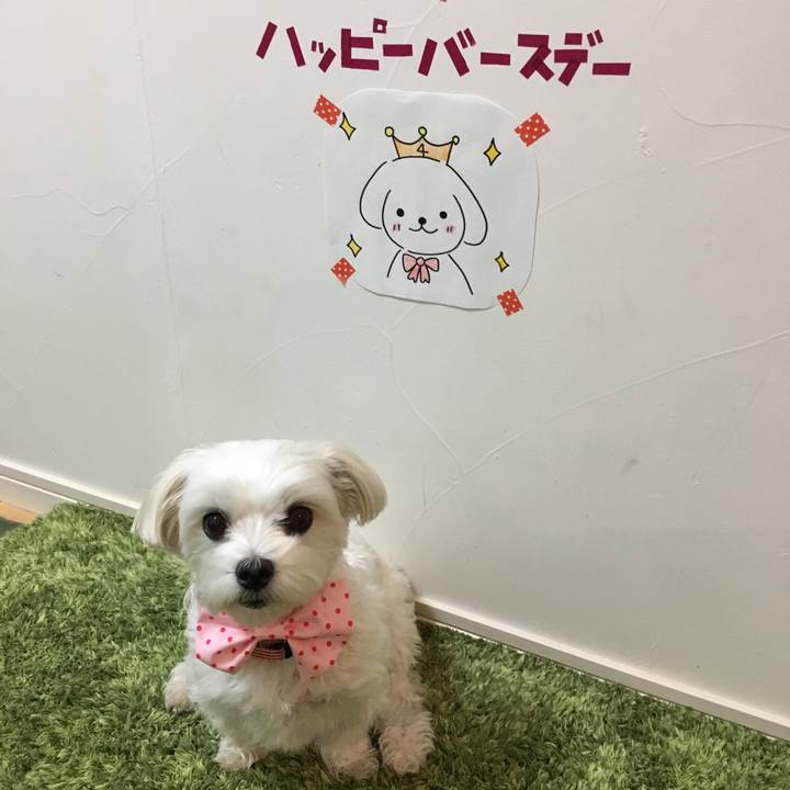 Ddd7c098 0761 43c0 96ee e54727426304 1511086771996