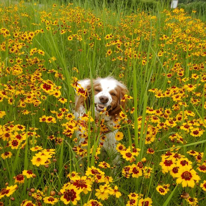 Ddd7dabe b5da 4f15 9099 f04e1f3e605e 1562069627433