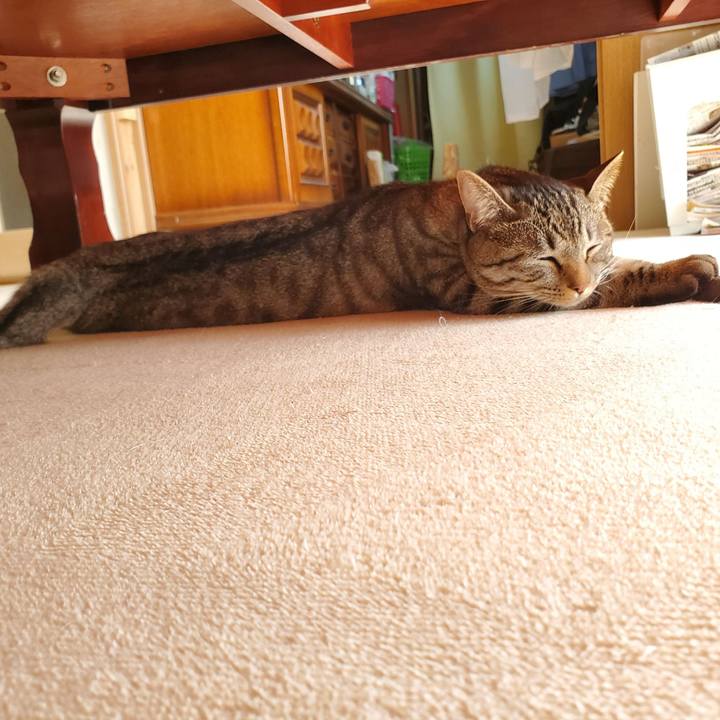 Ddd838d1 284d 40d3 8277 7090a695106f 1698589945580