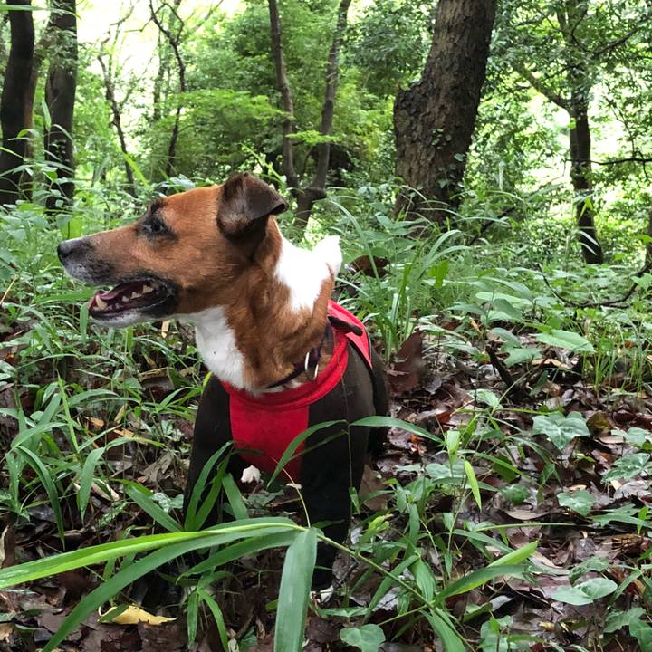 Ddd8645d 2527 42d9 aaa4 91baadad36d0 1528757719844