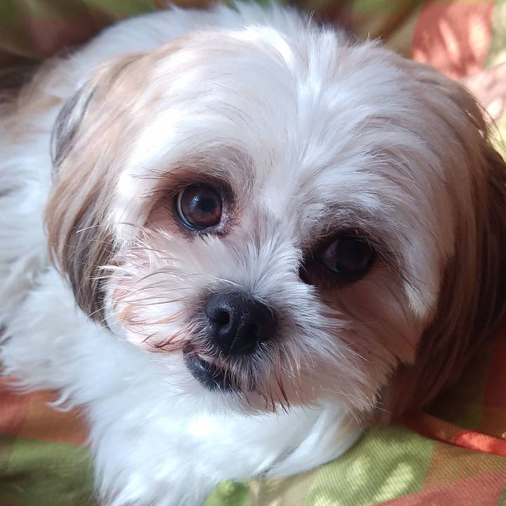 Ddd8849a 0a61 406a 8d50 567cde2449ad 1573957872106