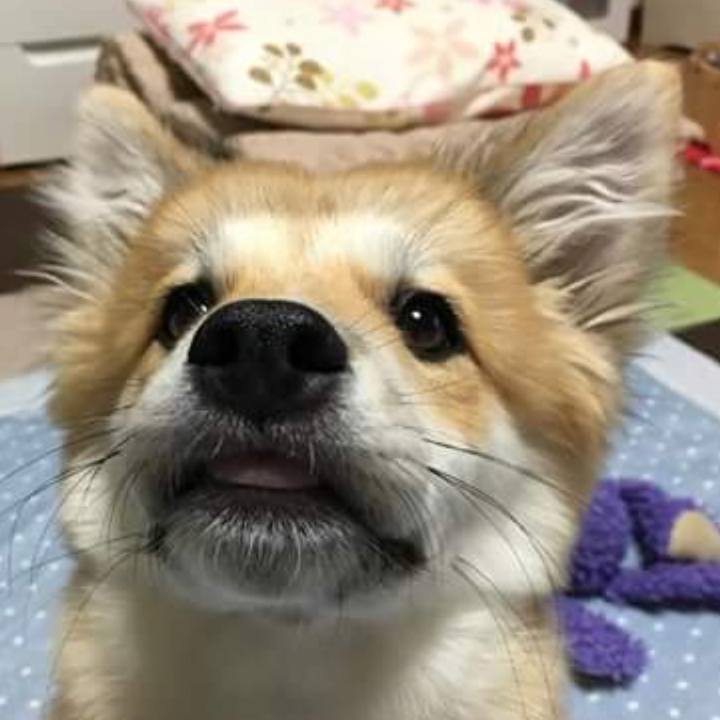 Ddd89444 2e96 42de aa50 06ea315712f8 1528856094691