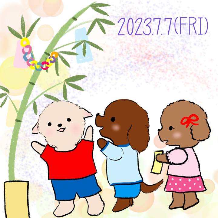 Ddd8a2e6 a373 4c49 9f4b 7b266d408f66 1688734107874