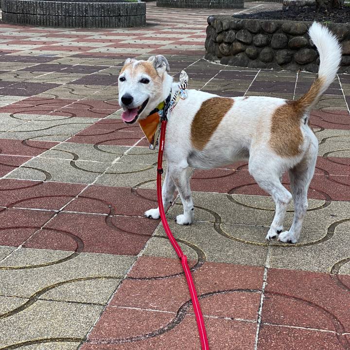 Ddd8ad94 1b53 4d45 a341 cc567bc7ecd1 1599182545012