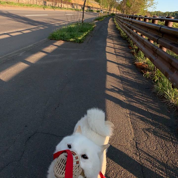 Ddd8e56d e29a 41e7 8684 a6fa8c7a8c07 1557734374656