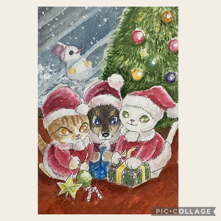 Ddd8f0ab c0b1 4265 8dcb e019ab856696 1702948655260