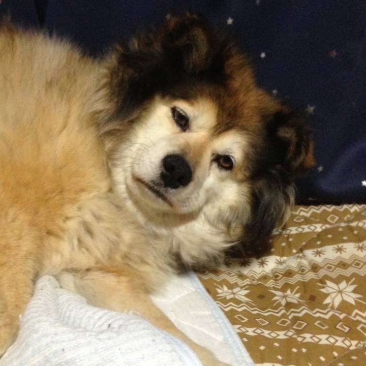 Ddd90e6c 1abe 4c3e b093 194a01d0ea76 1621814989664