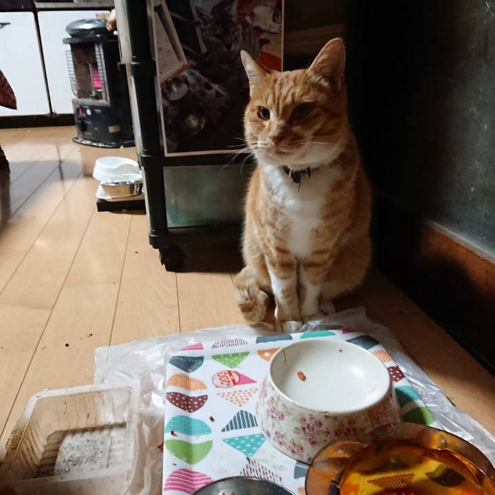 Ddd918b9 9fd1 4d1c b66a 080f26373bf9 1606679652280