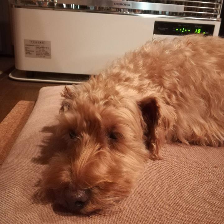 Ddd93ff9 ae0f 4622 97c3 dac2203f37b3 1577097734995