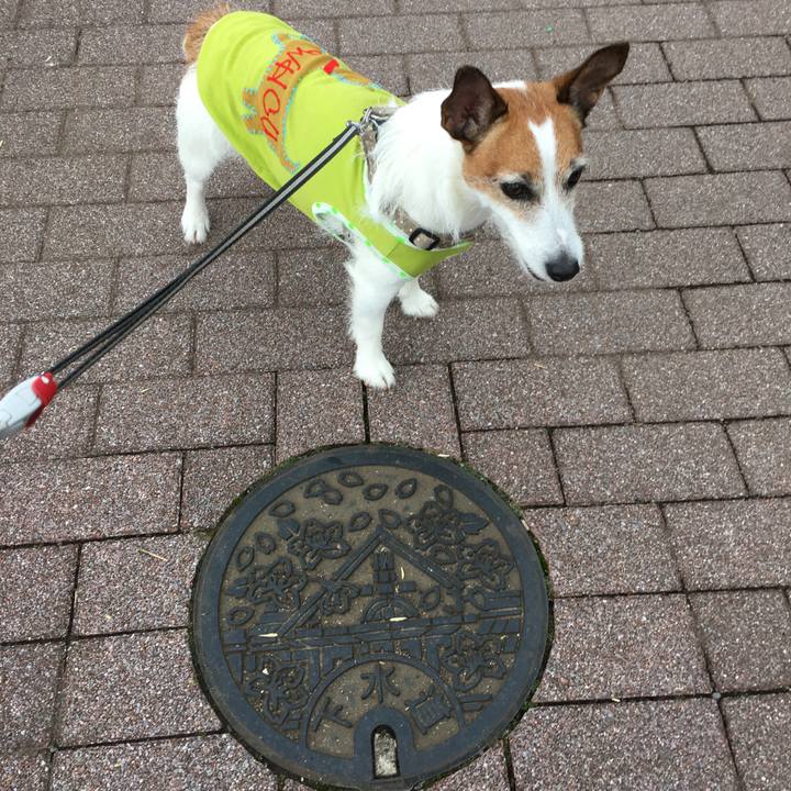 Ddd94a7f c969 4106 8608 6e96889c9ebd 1560051614067