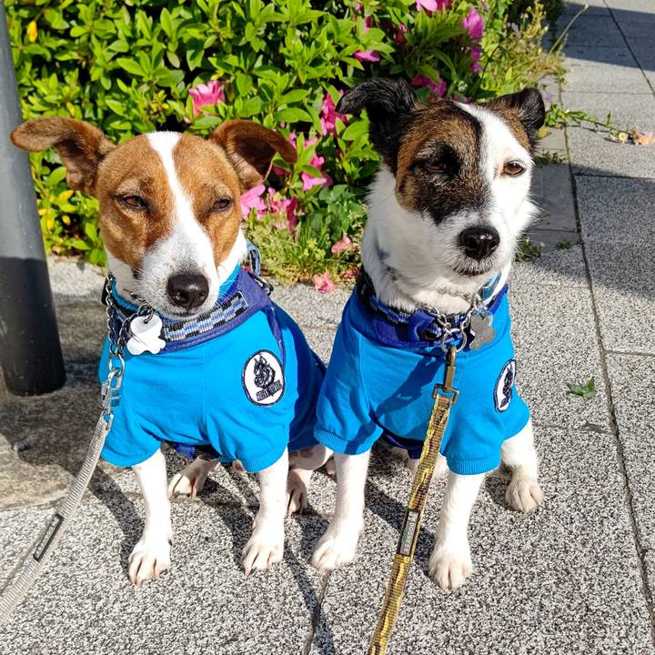 Ddd97210 15f6 47b9 9e46 f8d6c2a7a6e1 1619229464365