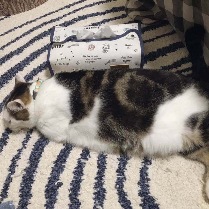 Ddd97fed 7e22 4dc9 96d2 08ed3834e26e 1557032323014