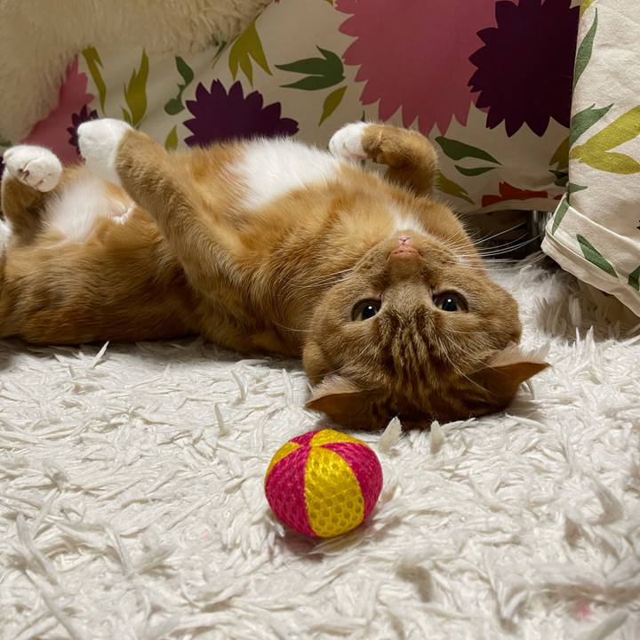 Ddd98322 91e0 44e6 876c 77ae2c00b26e 1643292877841