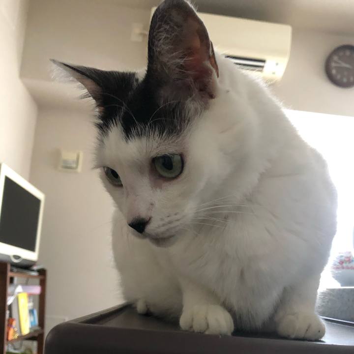 Ddd98601 ea11 4676 b25e 11175184430e 1599188100927