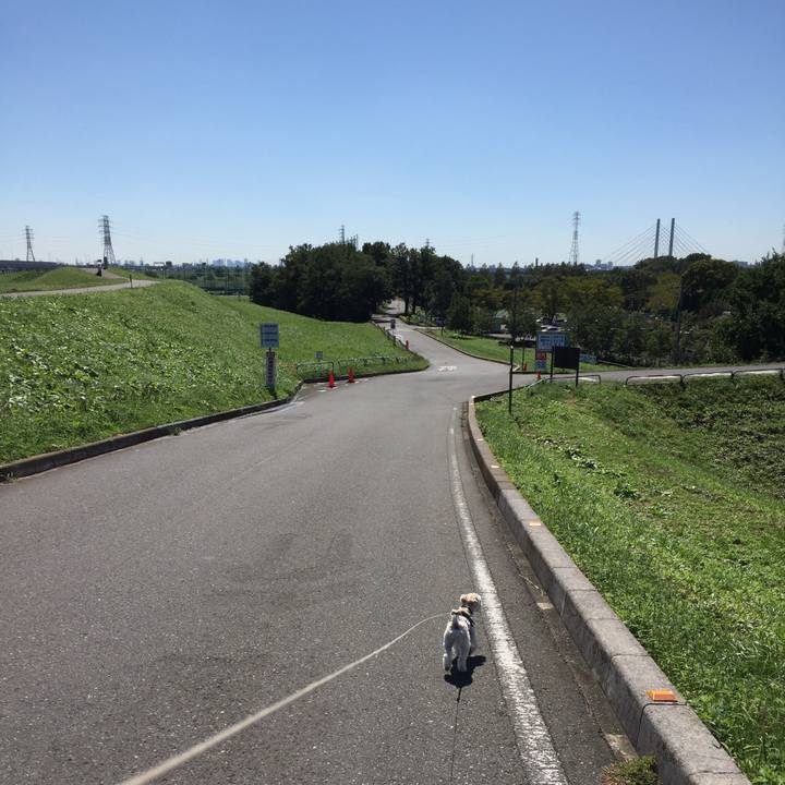 Ddd9eb46 c354 428f 8378 18edd2360e17 1538119100202