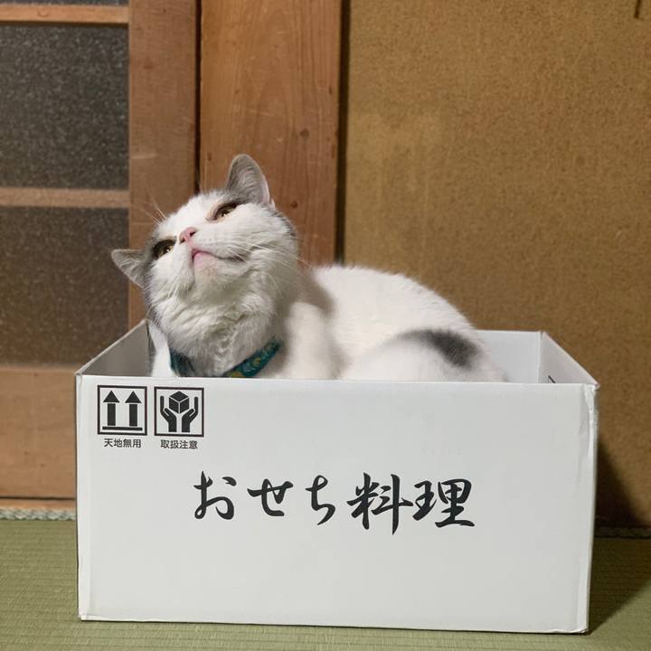 Ddda0202 b25f 4889 a7a4 70d92c0c3b0d 1672454252289