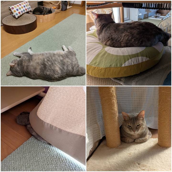 Ddda48c9 dd91 4e2b 92ff 3a1354c21437 1746773120950