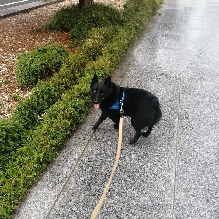 Ddda4ab2 3fa6 4fc9 be8f 8a98e5b084b6 1626383744791