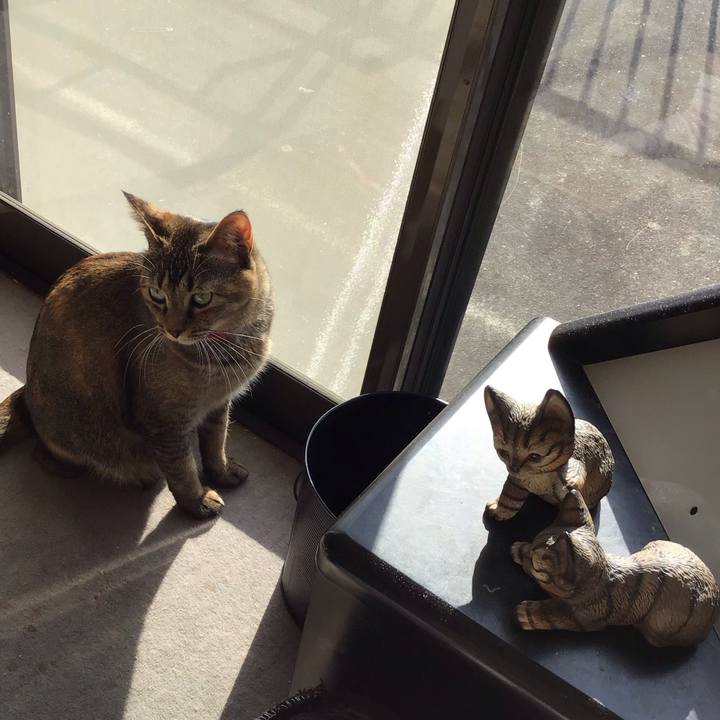 Dddaa8c3 f660 4168 a2e4 e2dc478ed85f 1606358426289