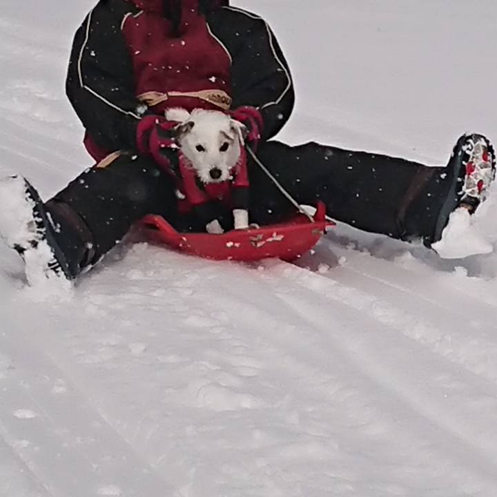 Dddacc7c 41f8 454a 9c36 5b1483c7c543 1549493170211