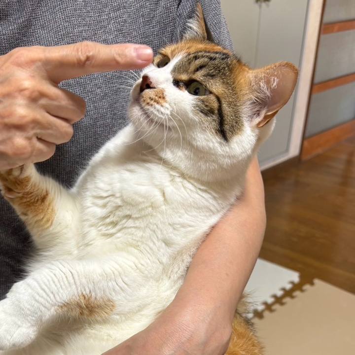 Dddadae8 2066 4d76 b59f 3c5cad693c16 1753837255618