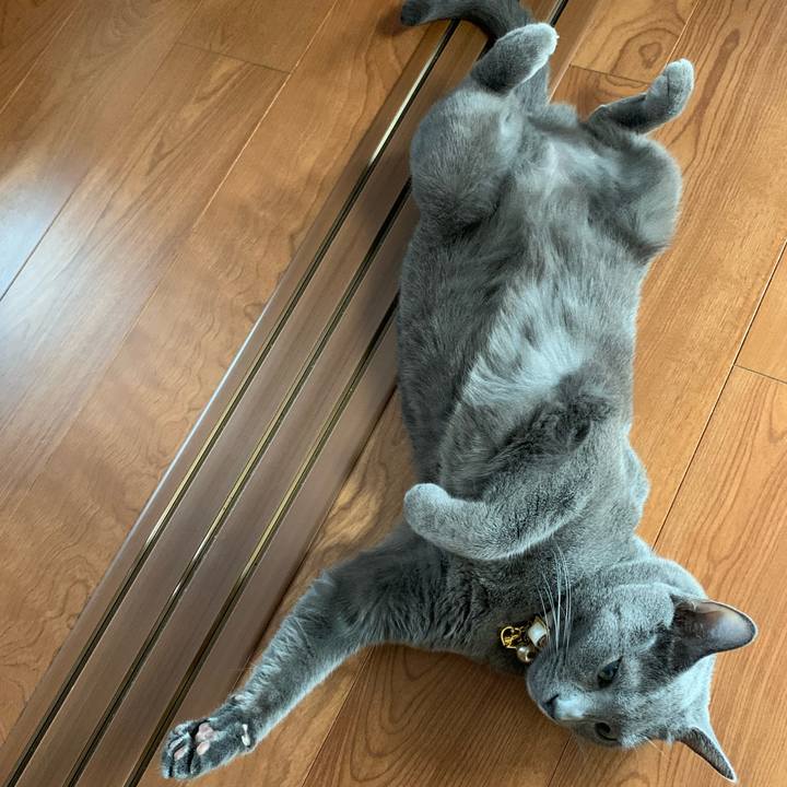 Dddb14f4 3c64 4604 894a c4f2fcaeaa99 1625395012080