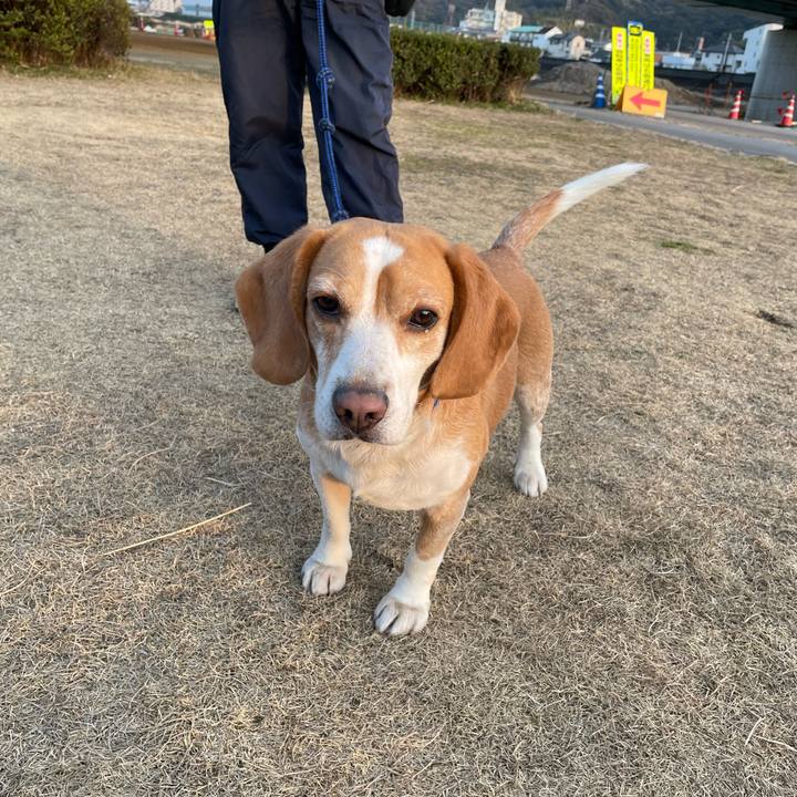 Dddb21be 8744 46a9 bde3 74959c9ba55b 1675515407926