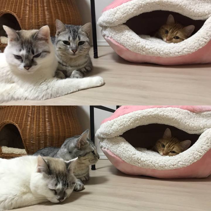 Dddb256f b30f 443d a215 c1a1b1cafd9a 1518515890079