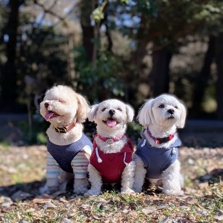 Dddb2e4d 15e4 4872 8c9a ca867affc21c 1771677952732