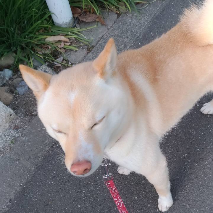 Dddb3068 edbb 442f 9fb9 16a6ea24f500 1552896111320