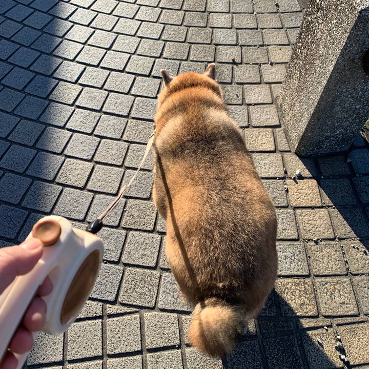 Dddbb19d 3ccb 4988 8976 c04623827147 1638106653859