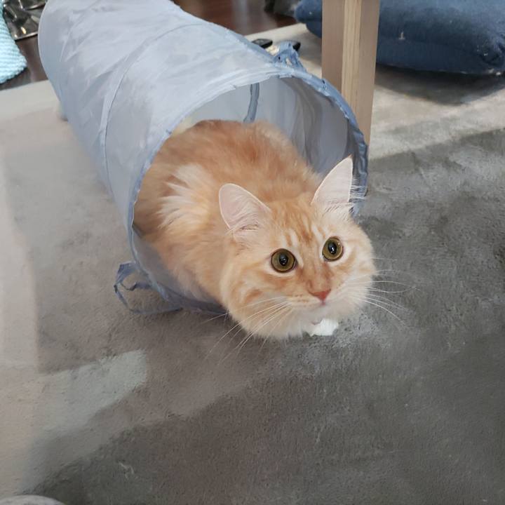 Dddbb832 2427 45d3 805c ef69172ecc34 1662854870747