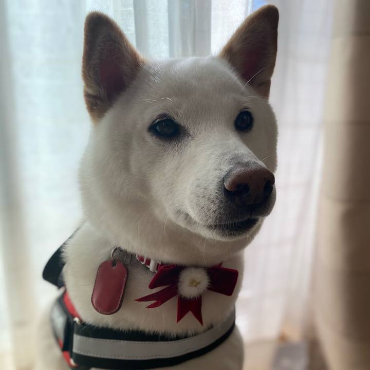 Dddbd1a5 32a5 4576 878a 1f0af42aadff 1672044529892