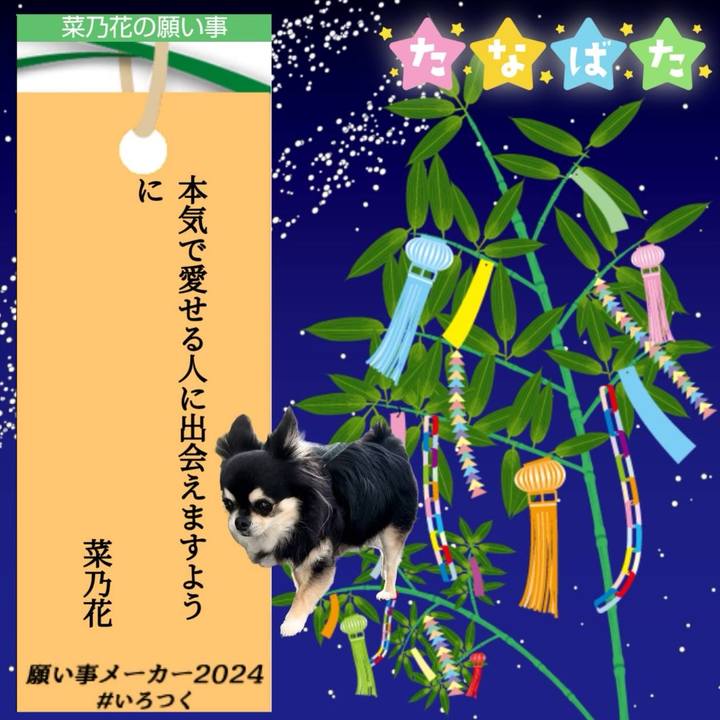 Dddbdc1d d9c7 402b 8389 a7781af8266c 1720336750314