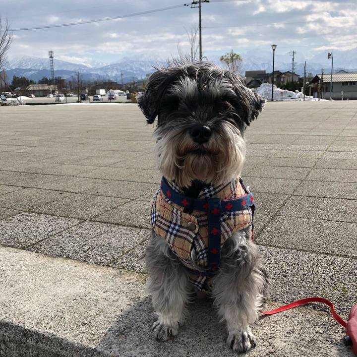 Dddbed01 b0d4 455e 8628 3e94778b05ab 1612579991713