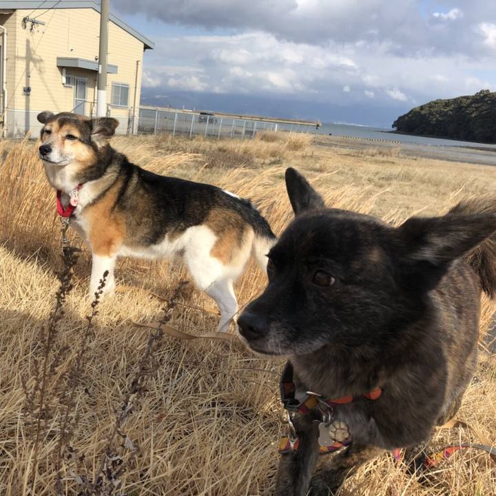 Dddc29ea 2309 4d19 9fa2 19a536087e8e 1520078238198