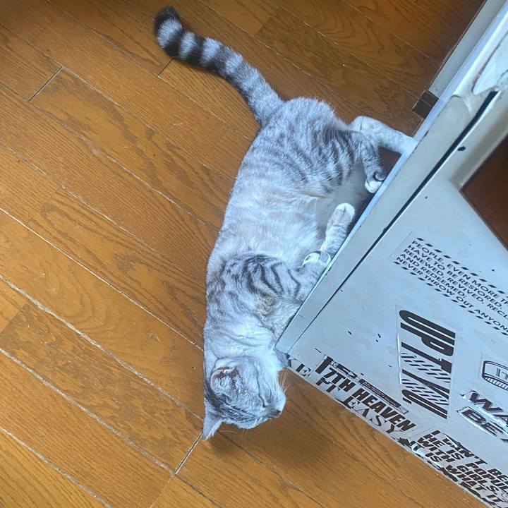 Dddc499e eb1d 496e b0d9 04bf57e67951 1757453582213