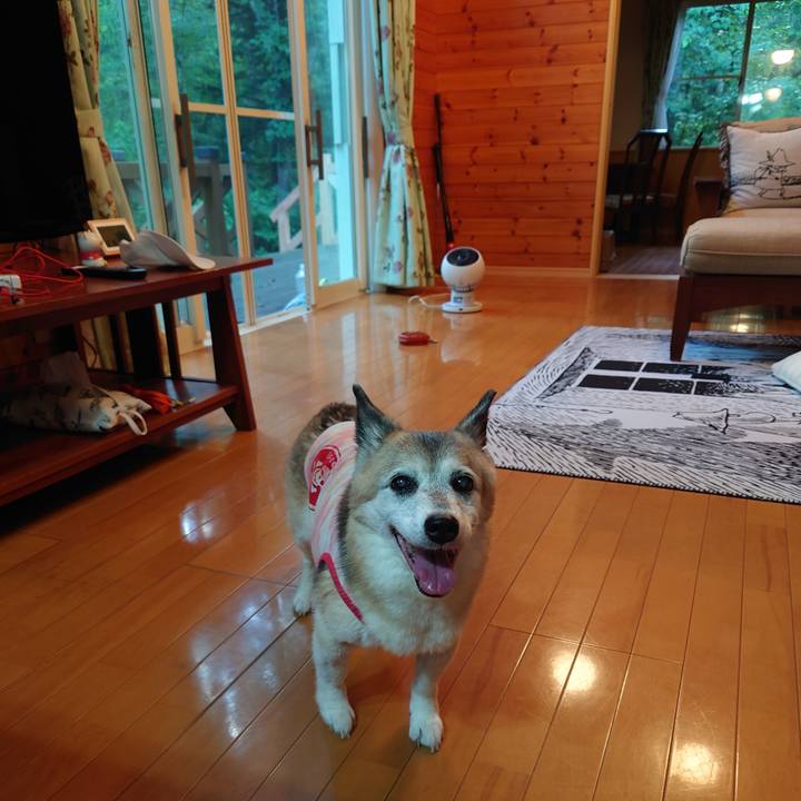 Dddc4d6a ff03 42a0 9cf2 128587bfc7b9 1754198479732