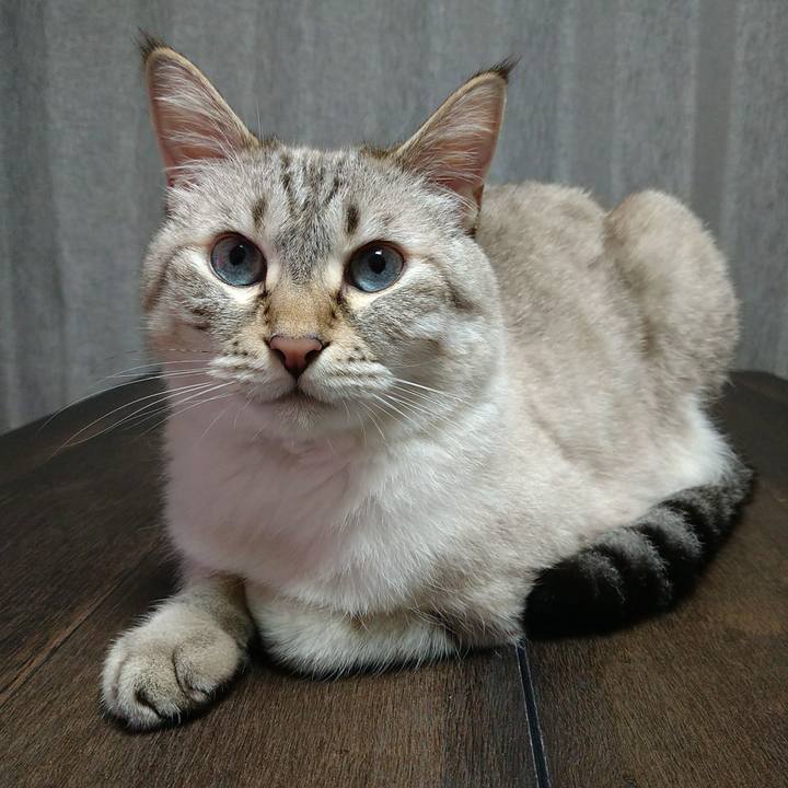 Dddc61b5 1c2a 4503 a0b4 534a5a22d7d1 1694856740005