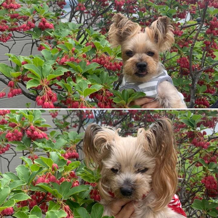 Dddc7d7a bc77 4da8 bfd8 689d56868cb9 1748861349304