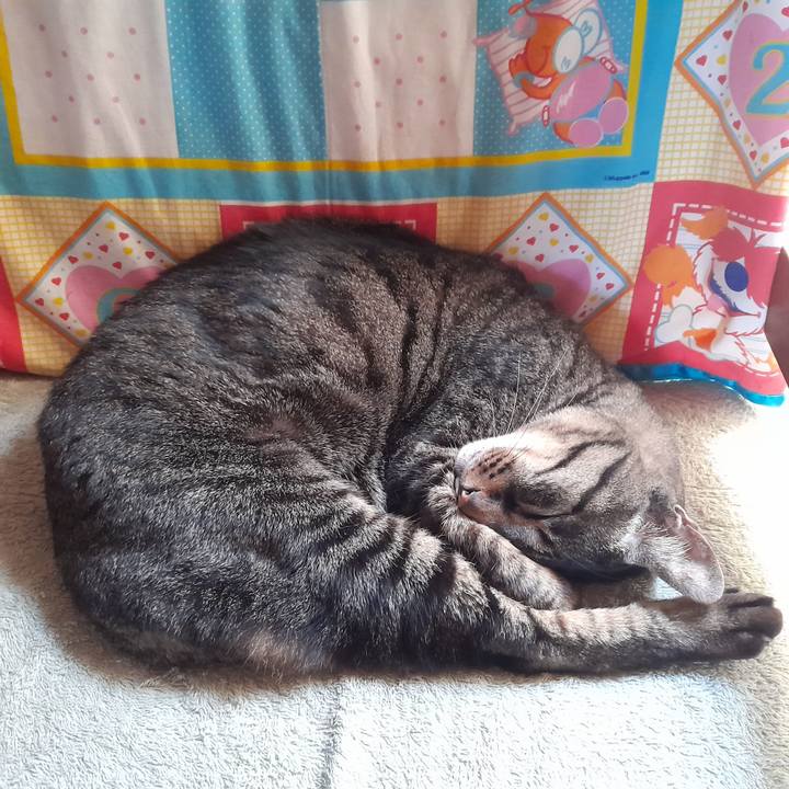 Dddc8f6e 0a64 4ecd ad84 fcbbbbf3fc83 1764587654470